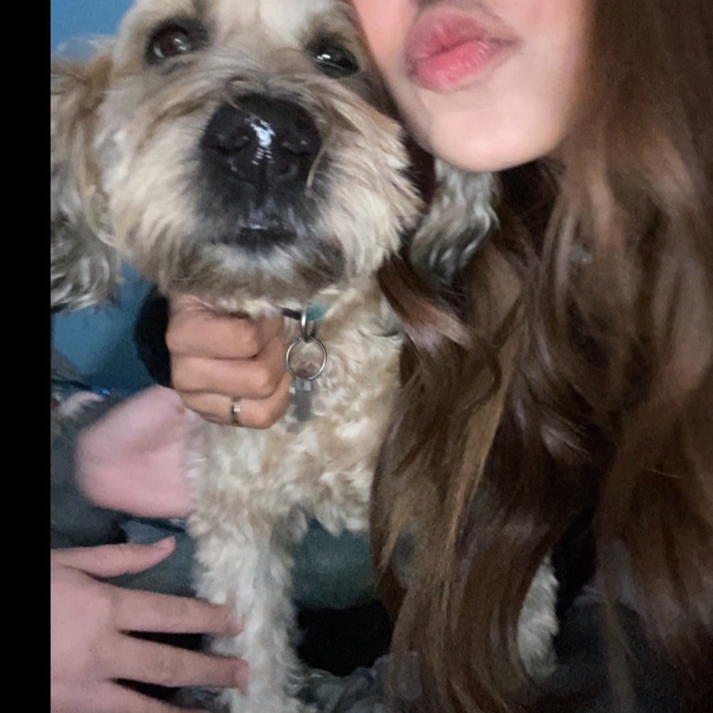 Meet your Posher, Giselle